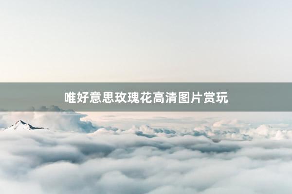 唯好意思玫瑰花高清图片赏玩